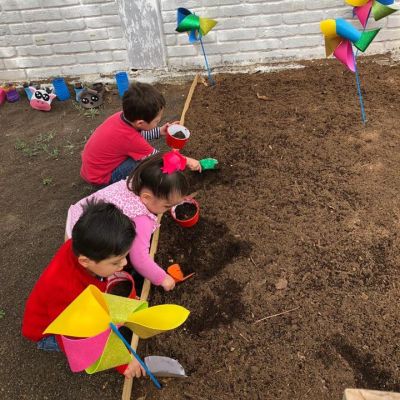 Alumnos Aprendiendo