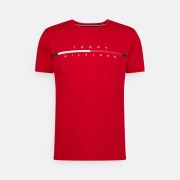 T-Hilfiger T-shirt (Demo)